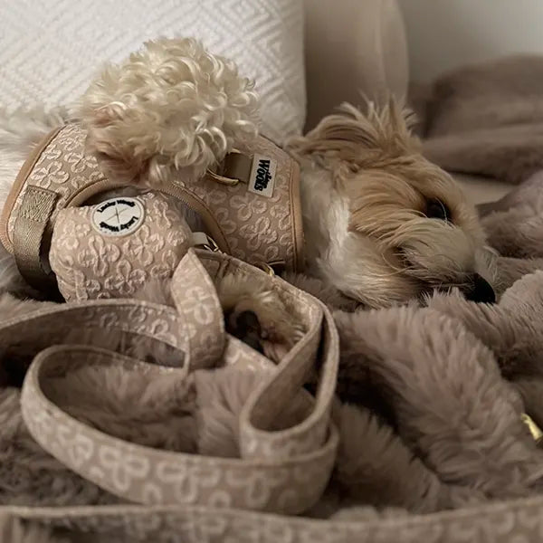 Torbica za Vrečke Golden Blossom Premium