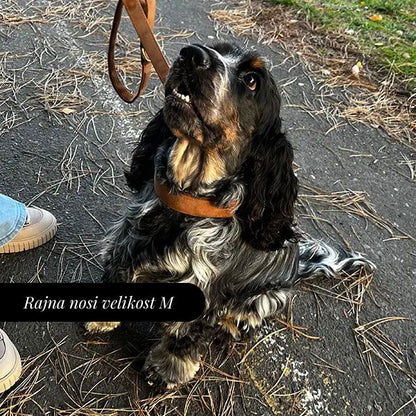 Nastavljiva Ovratnica Caramel