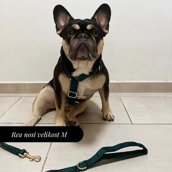 Nastavljiva Oprsnica Emerald