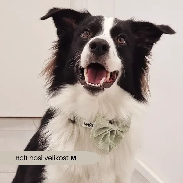 Nastavljiva Ovratnica Enchanting Hearts Deluxe