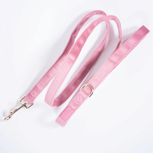 Povodec Rosé