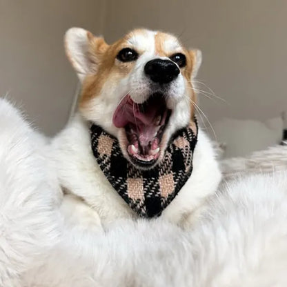 Rutka  Fluffy Elite Fatal