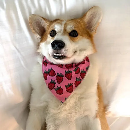 Rutka  Strawberry Bliss