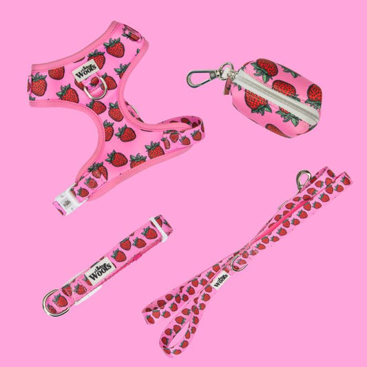 Komplet "Na sprehod" Strawberry Bliss