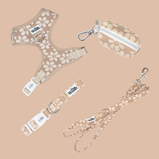 Komplet "Na sprehod" Cocoa Bloom Deluxe