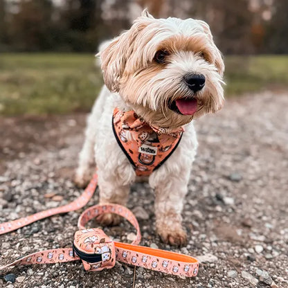 Torbica za Vrečke Hedgehog Hug