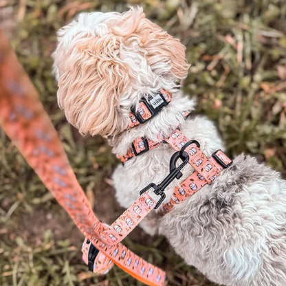 Povodec Hedgehog Hug