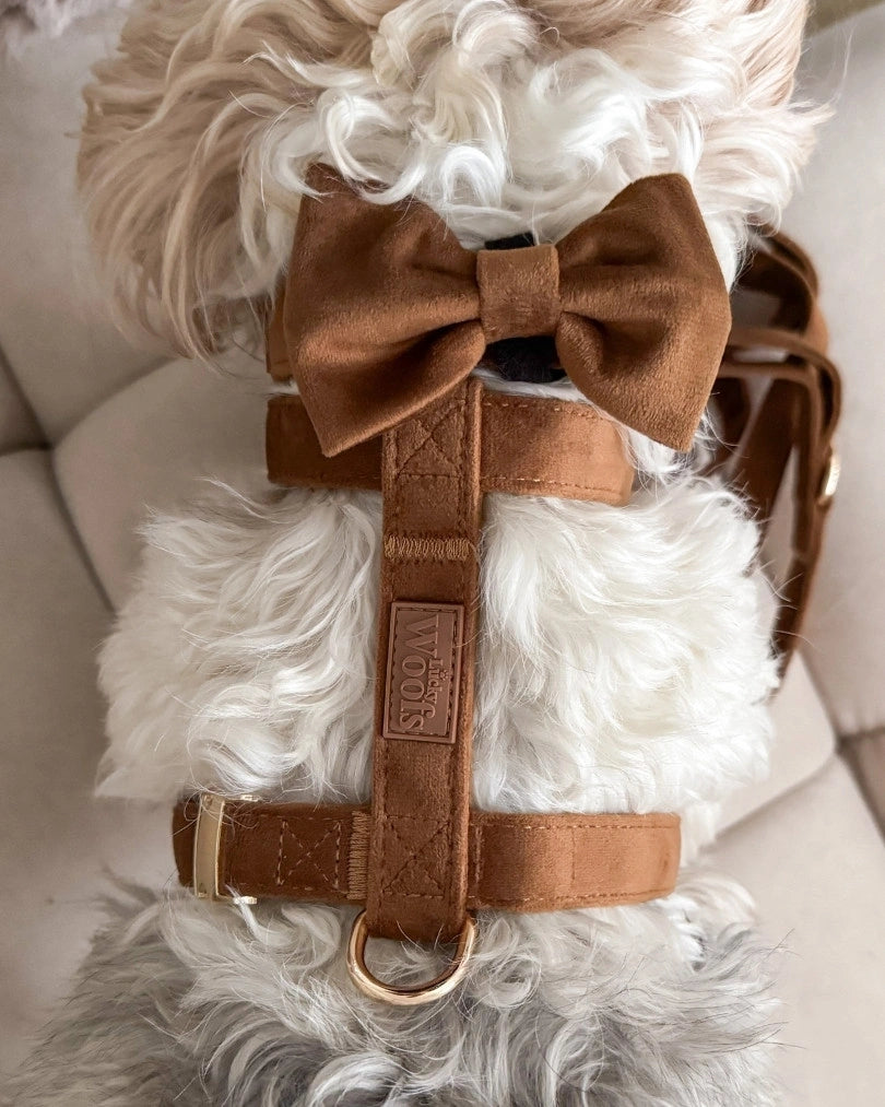 Mašnica Caramel