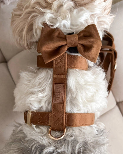 Mašnica Caramel