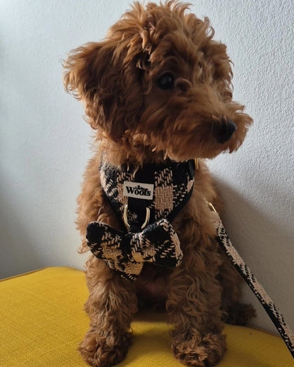 Mašnica Fluffy Elite Fatal
