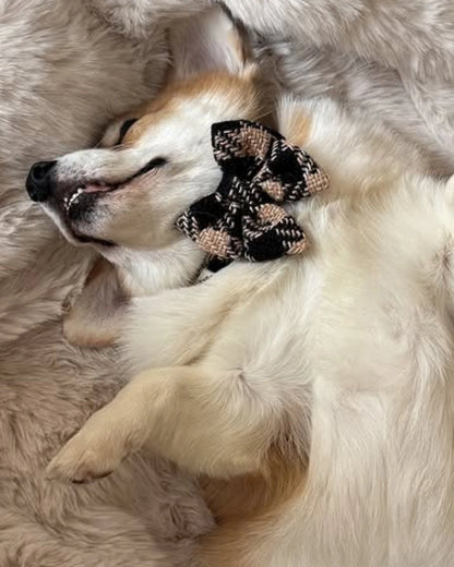 Mašnica Fluffy Elite Fatal