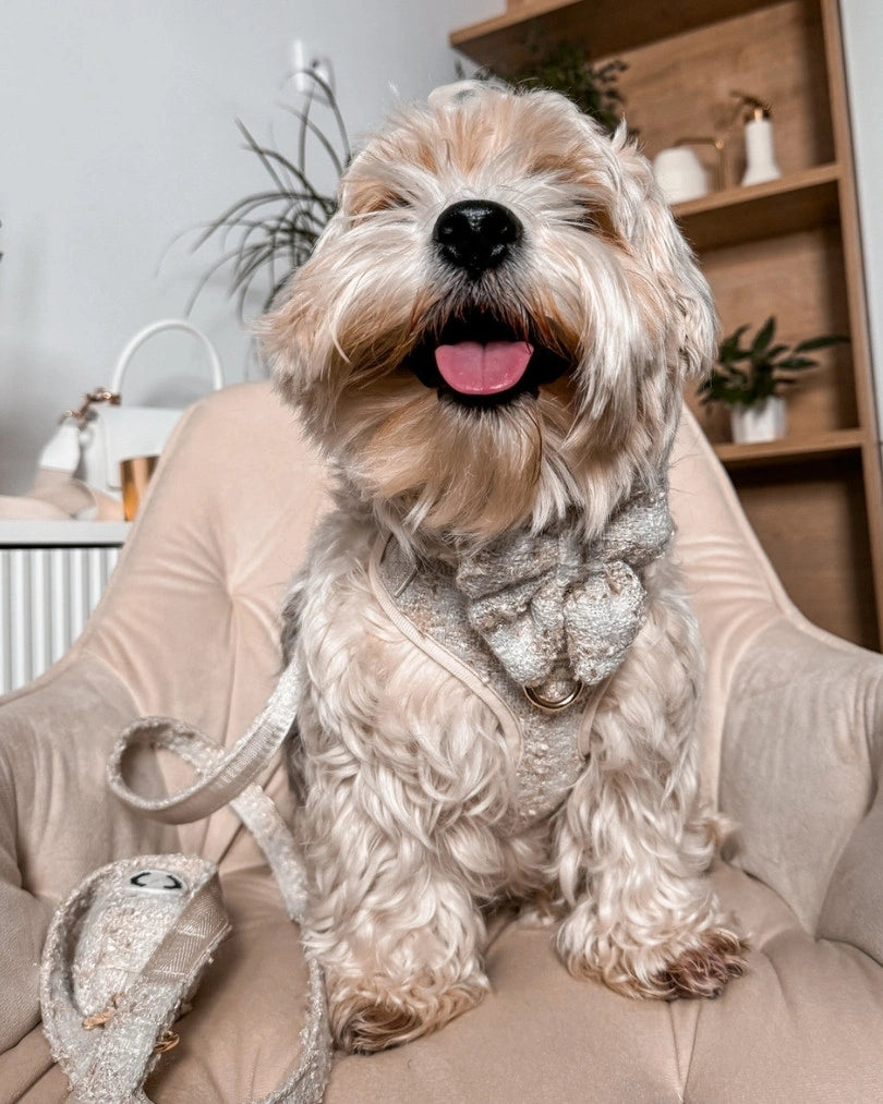 Mašnica Fluffy Elite Vivid