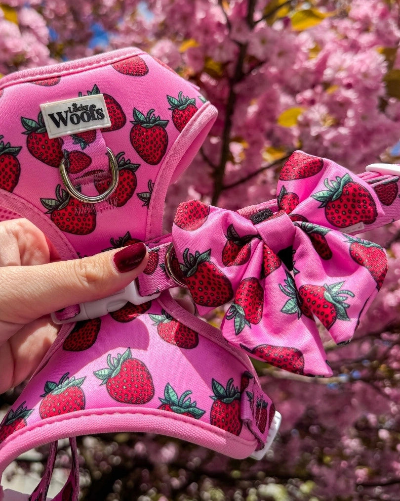 Mašnica Strawberry Bliss