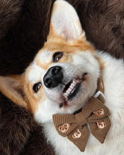 Mašnica Teddy Bear
