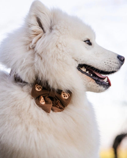 Mašnica Teddy Bear