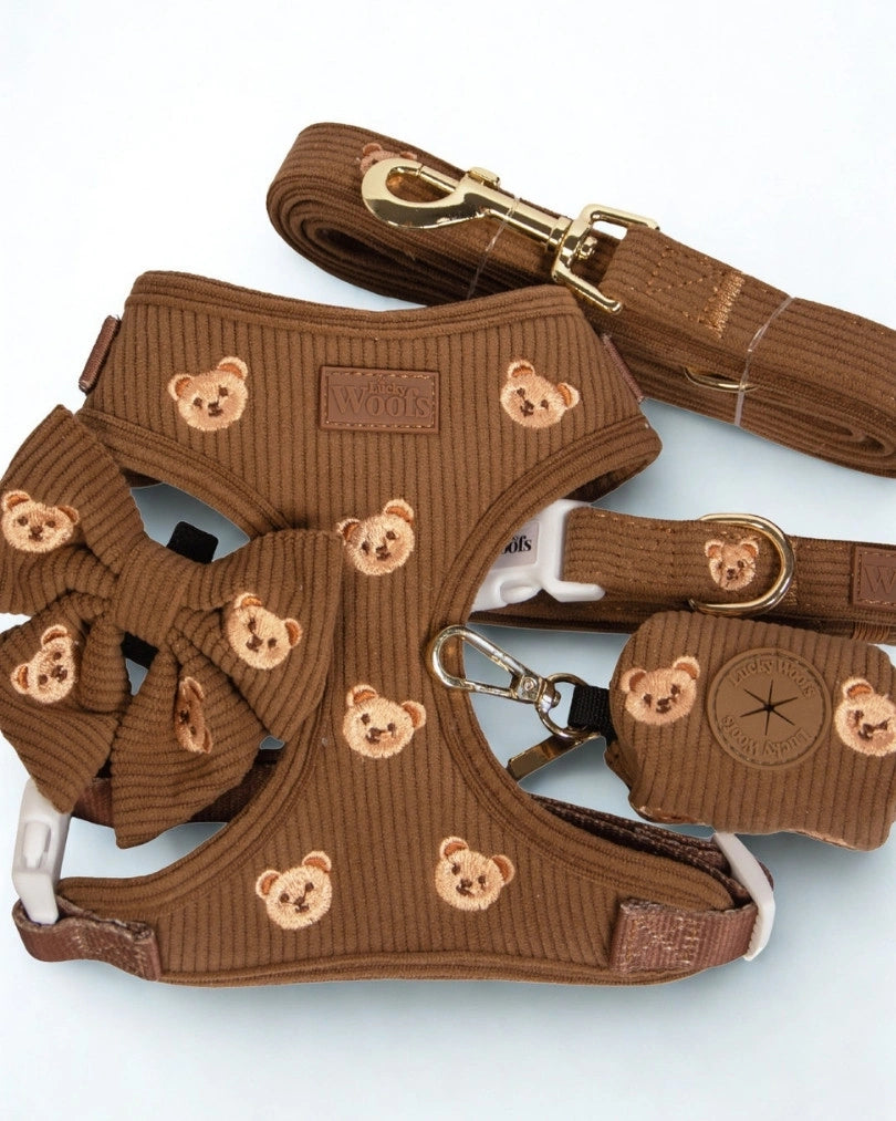 Mašnica Teddy Bear