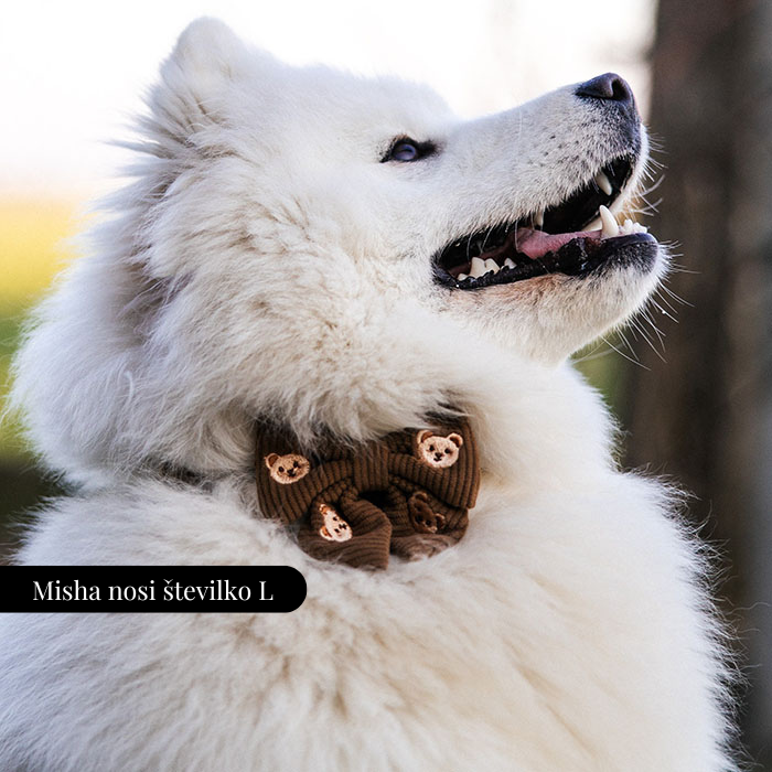 Nastavljiva Ovratnica Teddy Bear