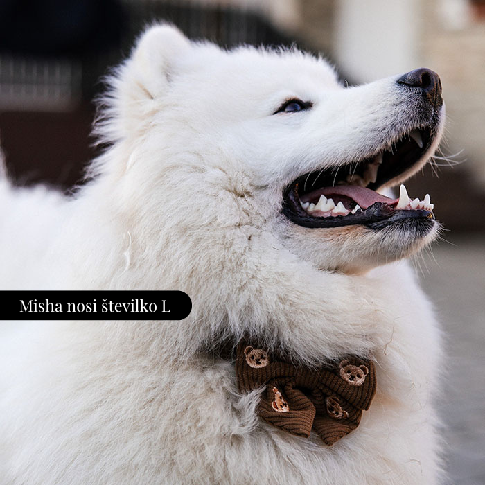 Nastavljiva Ovratnica Teddy Bear