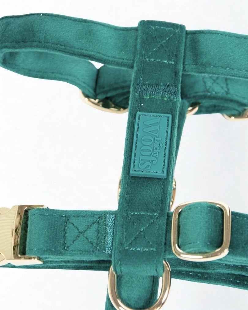 Nastavljiva Oprsnica Emerald