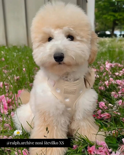 Nastavljiva Oprsnica Sunny Bloom
