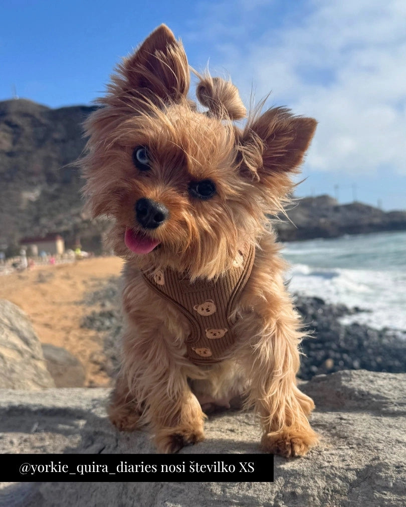 Nastavljiva Oprsnica Teddy Bear