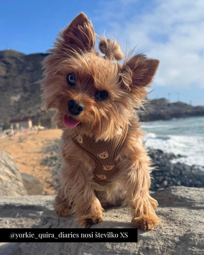 Nastavljiva Oprsnica Teddy Bear