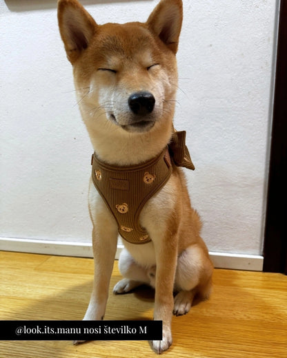 Nastavljiva Oprsnica Teddy Bear