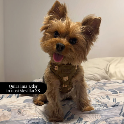 Nastavljiva Oprsnica Teddy Bear