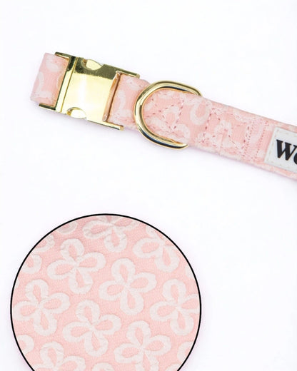 Nastavljiva Ovratnica Blush Blossom Premium