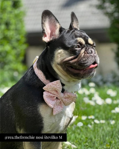 Nastavljiva Ovratnica Blush Blossom Premium