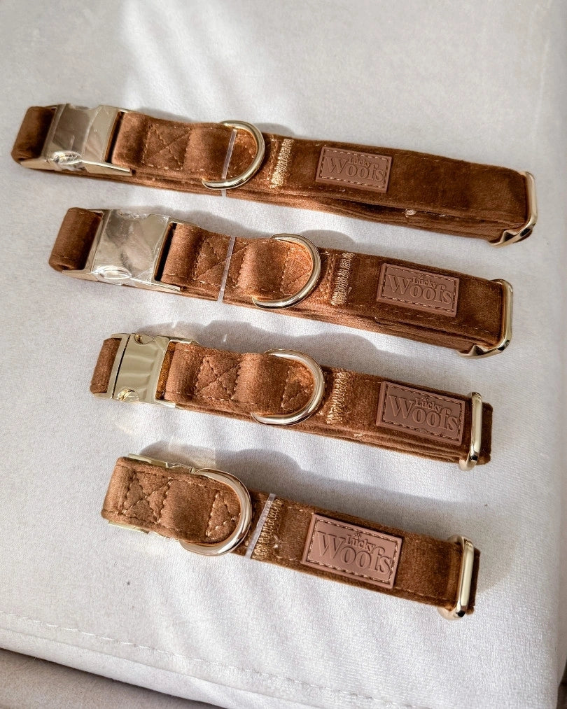 Nastavljiva Ovratnica Caramel