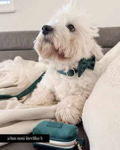 Nastavljiva Ovratnica Emerald