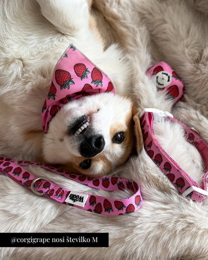 Nastavljiva Ovratnica Strawberry Bliss