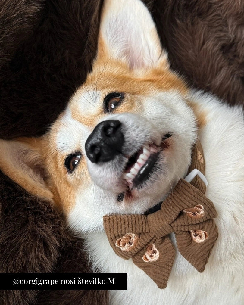 Nastavljiva Ovratnica Teddy Bear