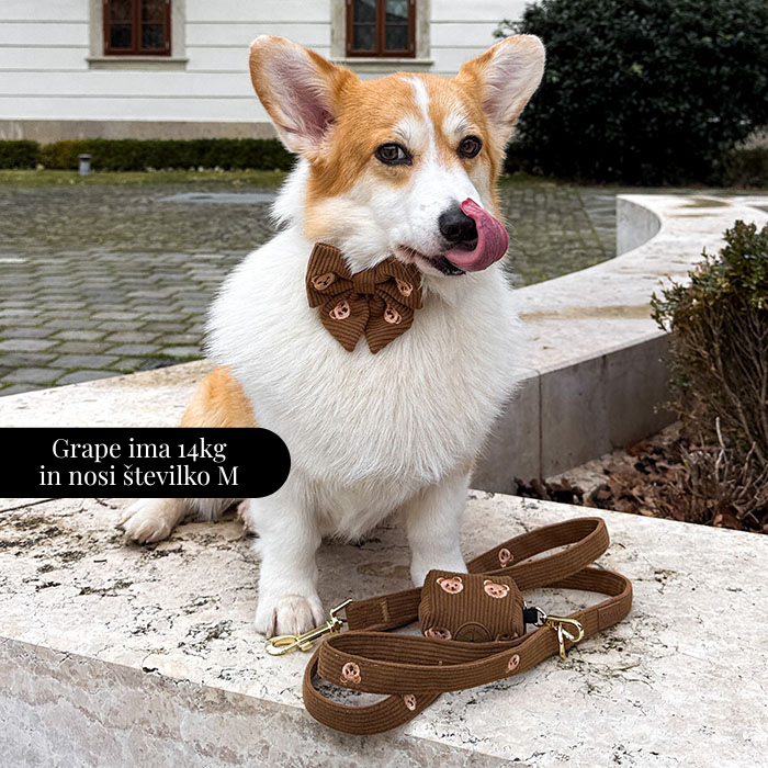 Nastavljiva Ovratnica Teddy Bear