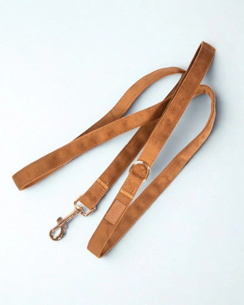 Povodec Caramel