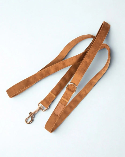 Povodec Caramel