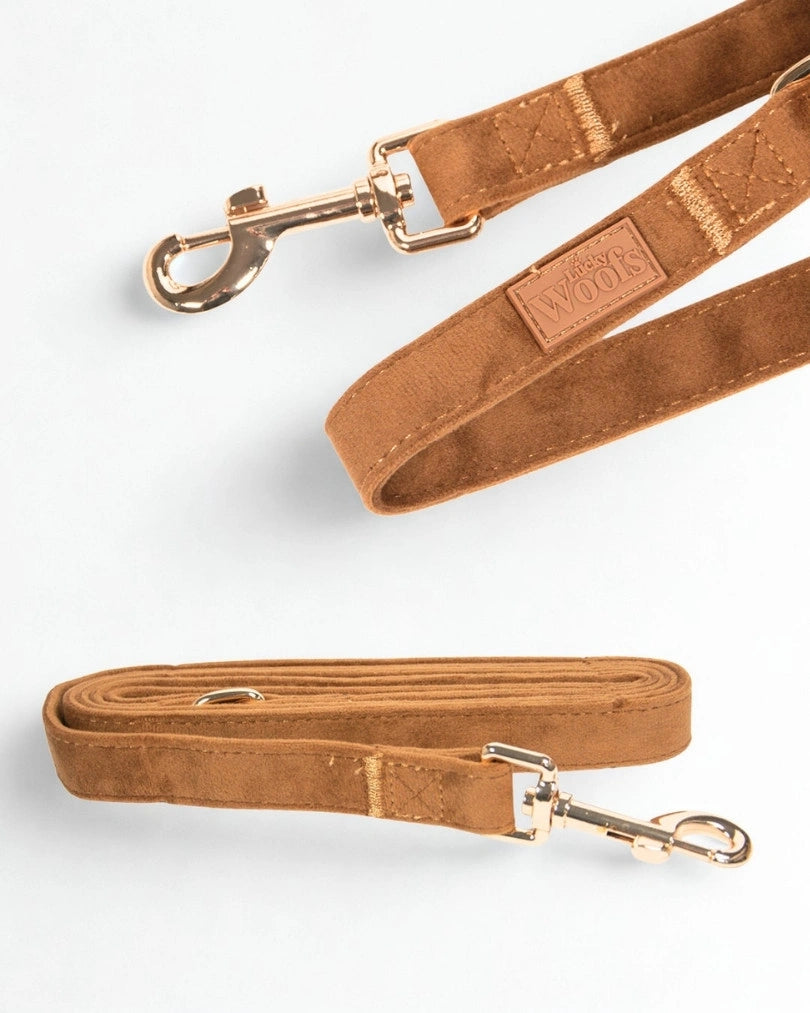 Povodec Caramel