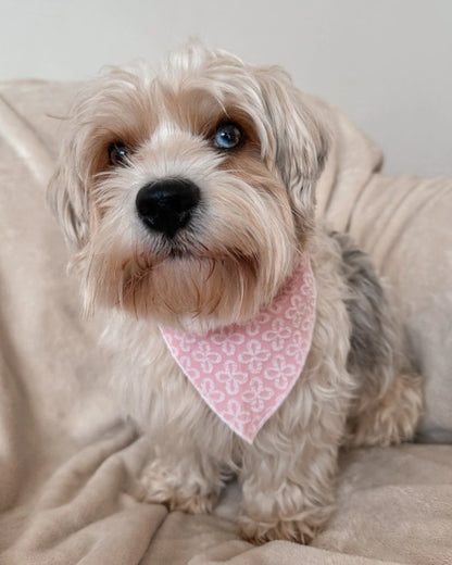 Rutka  Blush Blossom Premium