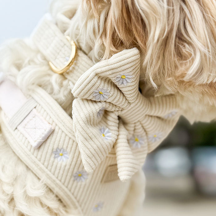 Mašnica Sunny Bloom