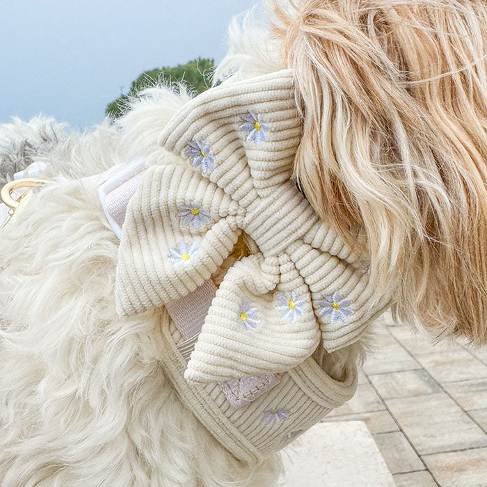 Mašnica Sunny Bloom