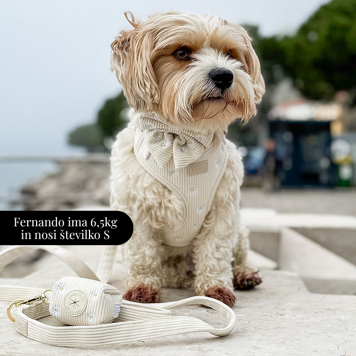 Nastavljiva Ovratnica Sunny Bloom