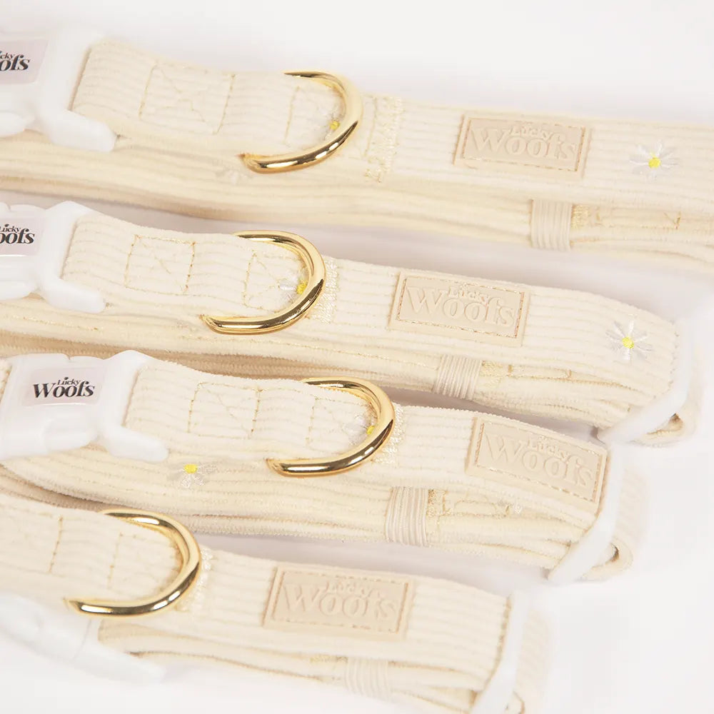 Nastavljiva Ovratnica Sunny Bloom