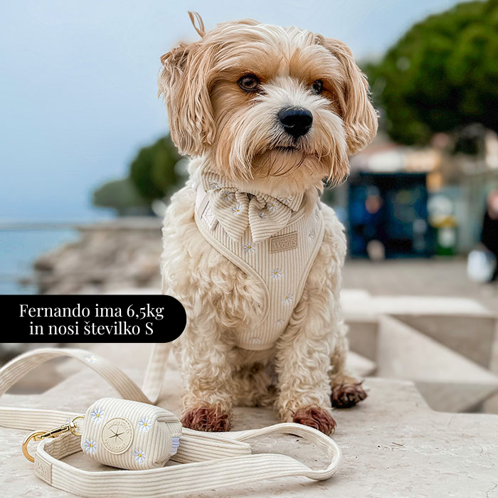 Nastavljiva Oprsnica Sunny Bloom