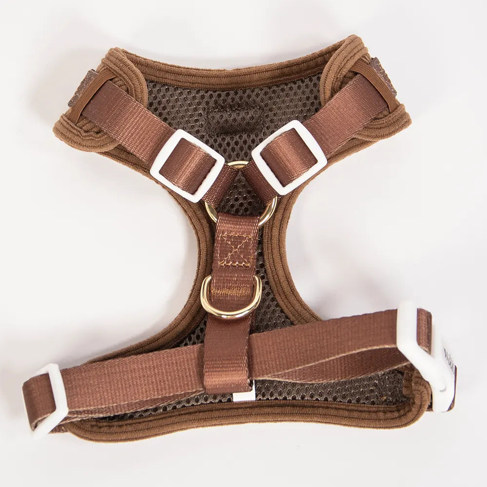 Nastavljiva Oprsnica Teddy Bear