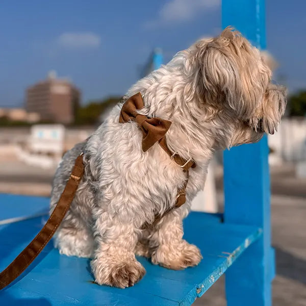 Nastavljiva Oprsnica Caramel