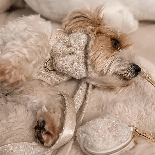 Mašnica Fluffy Elite Vivid