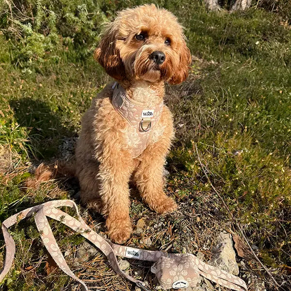 Povodec Cocoa Bloom Deluxe