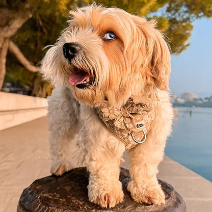 Mašnica Cocoa Bloom Deluxe