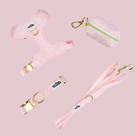 Komplet "Na sprehod" Blush Blossom Premium